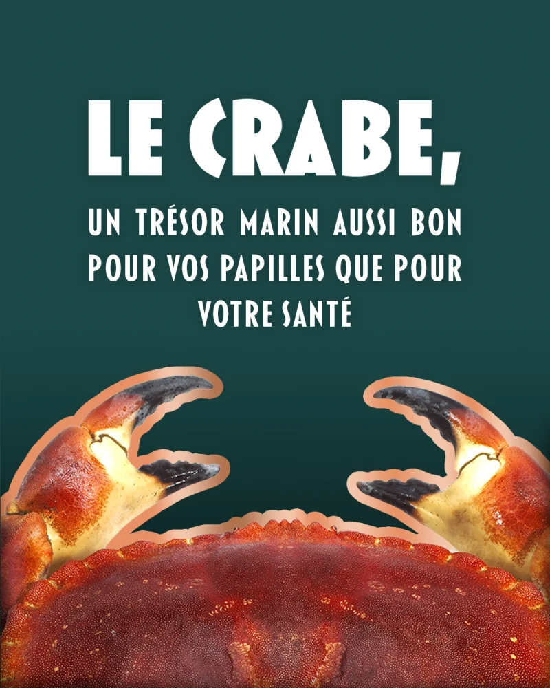 Carrousel Instagram, visuel 1 sur 3 : « Le crabe, un trésor marin aussi bon pour vos papilles que pour votre santé »