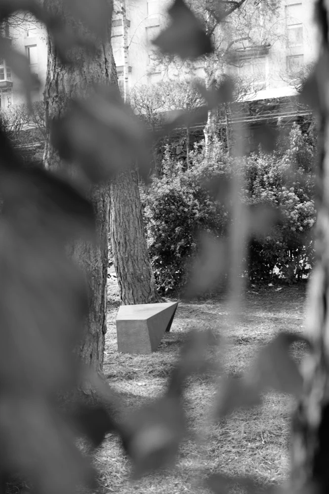 Banc en métal dans un jardin, vu entre les feuillages